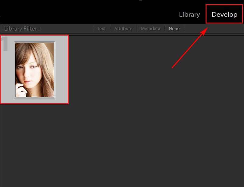 Chọn Develop để chuyển sang trình chỉnh sửa ảnh
