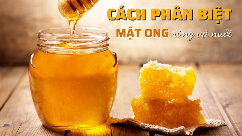 Phân biệt mật ong rừng mật ong nuôi như thế nào? 1