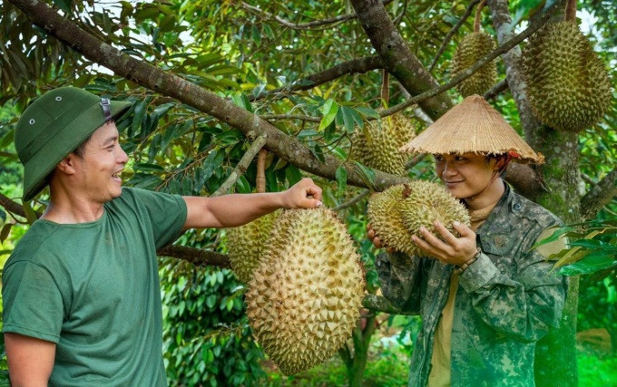 Sầu riêng nấu canh sườn non và chiên bột