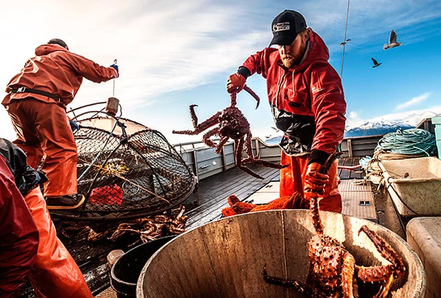 cua-hoang-de-alaska-king-crab-can-kiet