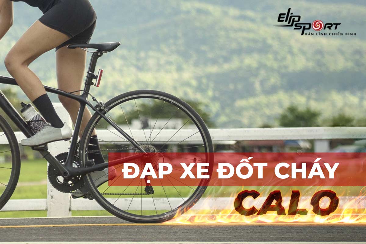 Đạp xe giảm bao nhiêu calo