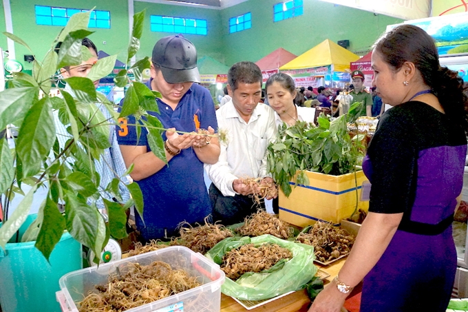 du lịch quảng nam