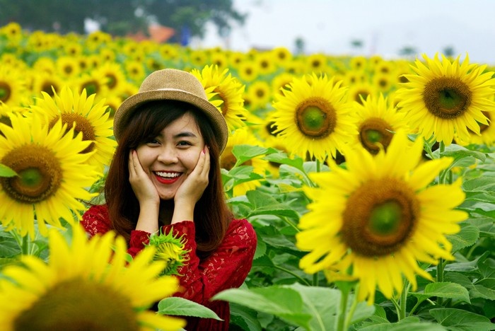 Nghĩa Đàn cách Hà Nội chừng 250 km.