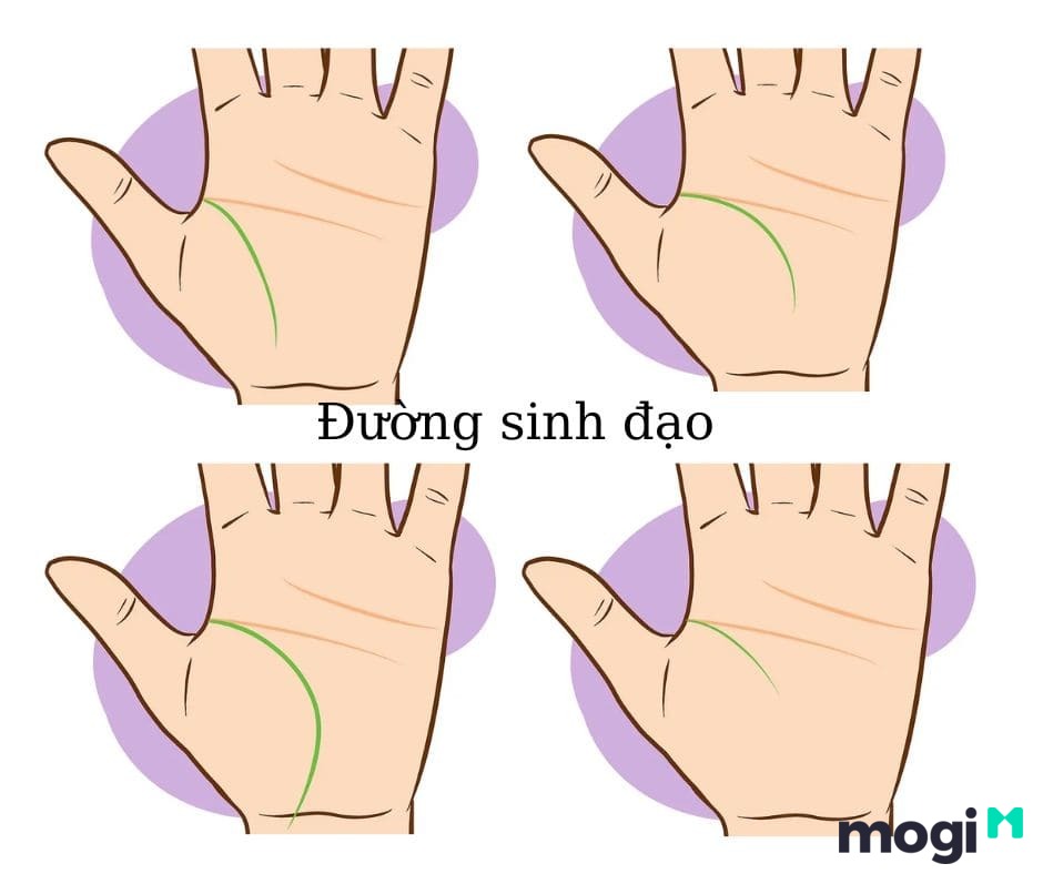 Cách xem chỉ tay đường sinh đạo ở nam giới