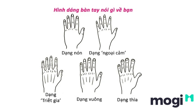 Xem hình dáng bàn tay