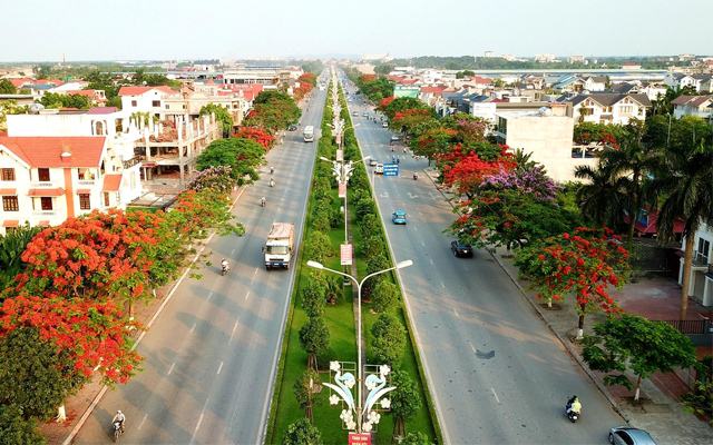 Những địa điểm ngắm hoa Phượng đẹp nhất ở Hải Phòng