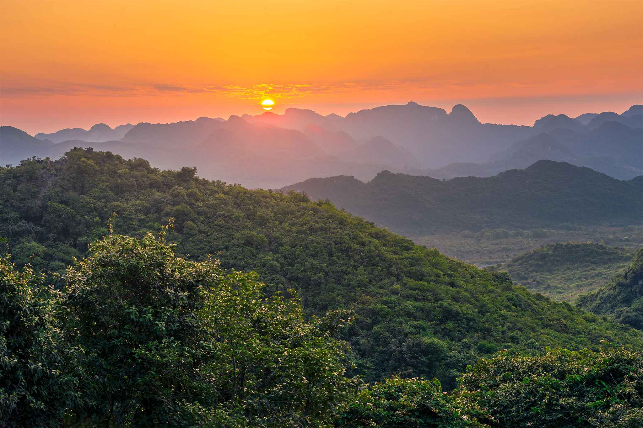 Cổng làng Đường Lâm