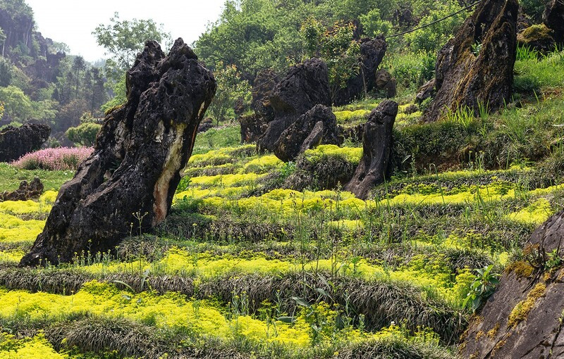 Núi Hàm Rồng