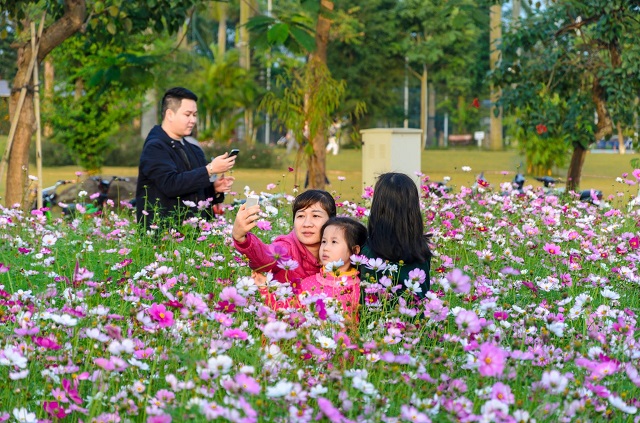 Khu sinh thái The Phoenix Garden Đan Phượng Hà Nội 1