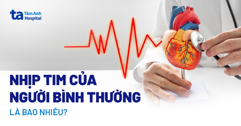 Nhịp tim bình thường là bao nhiêu