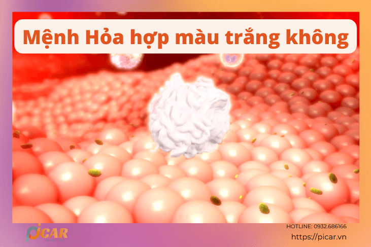 Mệnh Hỏa hợp màu trắng không