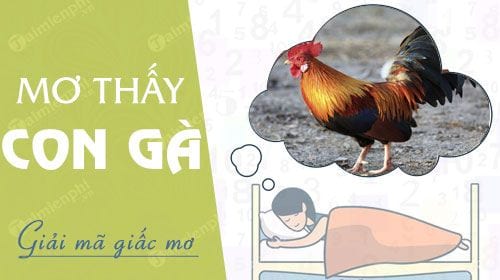 nam mo thay con ga danh con gi la diem bao gi