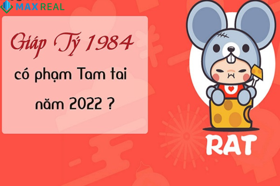 Theo luận giải xung khắc của gia chủ tuổi Nhâm Tý với tuổi làm nhà năm 2022, năm làm nhà không được phạm phải Tam Tai, Hoang Ốc, Kim Lâu. Nếu gia chủ tuổi Nhâm Tý phạm phải các yếu tố trên thì năm 2022 không nên xây nhà mới.