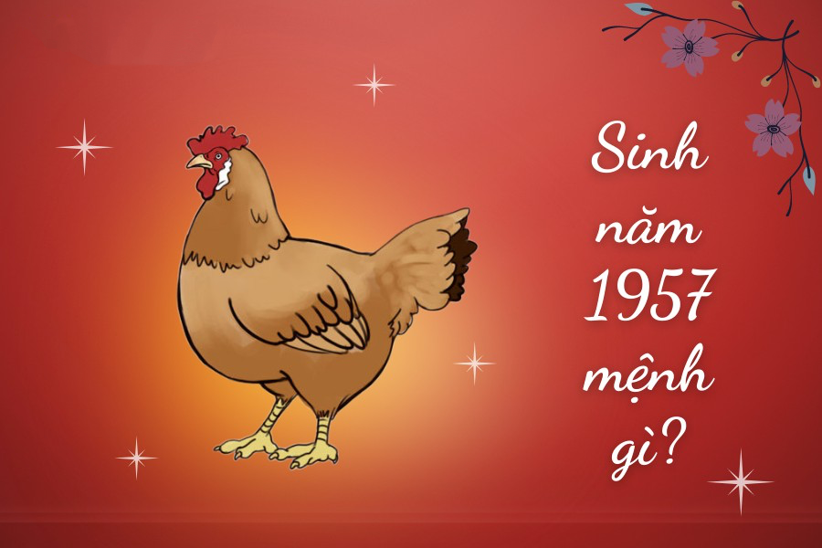 Sinh năm 1957 Đinh Dậu mệnh gì?