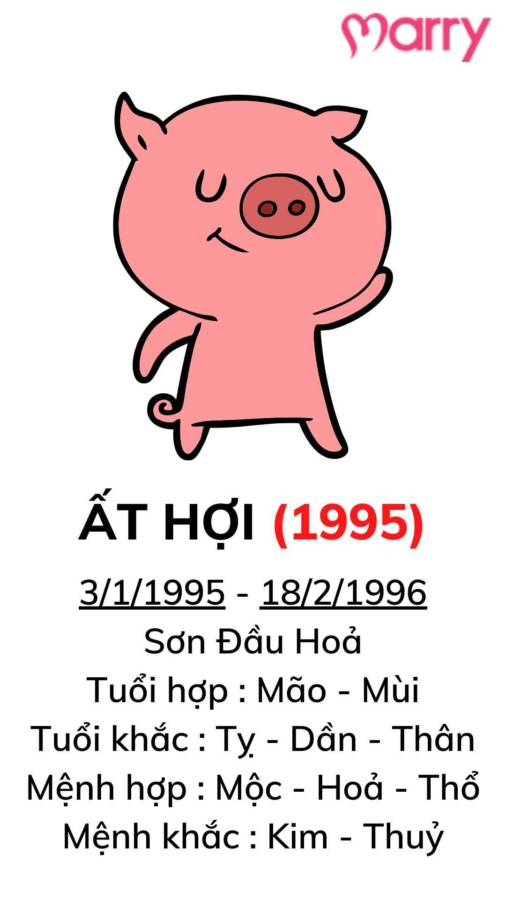 người sinh năm 1995 tuổi ất hợi hợp với tuổi nào - 2