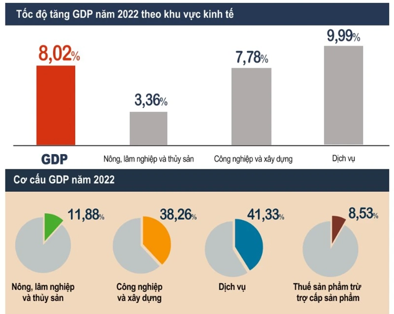 Ngành dịch vụ có tốc độ tăng trưởng cao nhất, chiếm hơn 41% GDP nước ta 2022