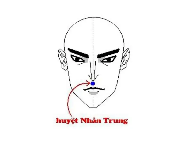 Nhân trung nằm ở vị trí giữa miệng và mũi, có hình rãnh lõm