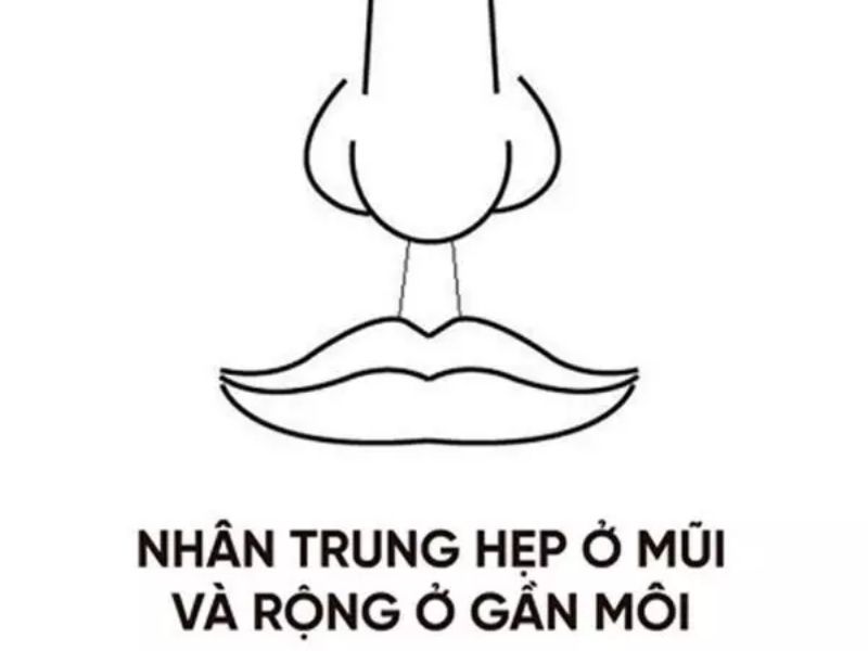 Nhân trung sâu, hẹp gần mũi và rộng dần về phía môi