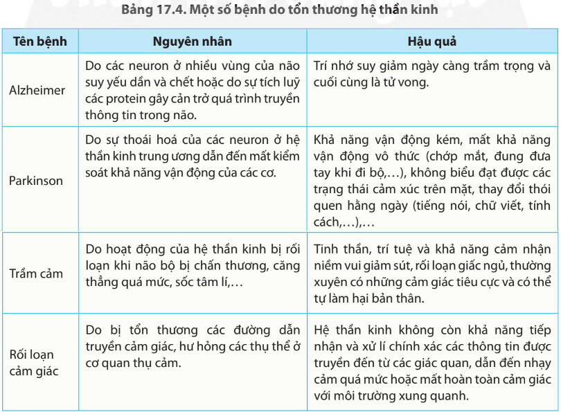 Lý thuyết Sinh học 11 Bài 17 (Chân trời sáng tạo): Cảm ứng ở động vật (ảnh 1)