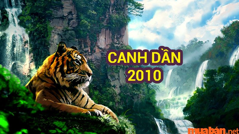 Tuổi hợp với Canh Dần