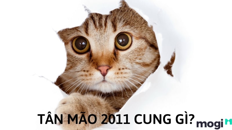 2011 mệnh gì?