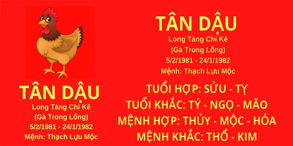 xem-tu-vi-tuoi-tan-dau-1981-nam-mang-nam-2024-chi-tiet-nhat-onehousing-2