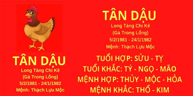 xem-tu-vi-tuoi-tan-dau-1981-nam-mang-nam-2024-chi-tiet-nhat-onehousing-1