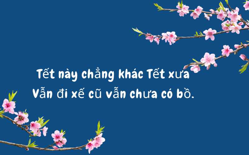 Caption chúc mừng năm mới hài hước. (Ảnh: Monkey)