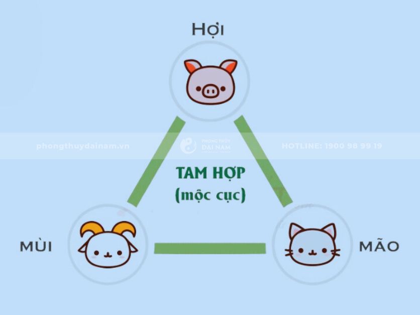 Nhóm tam hợp Mộc cục