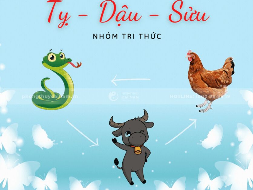 Nhóm tam hợp Kim cục