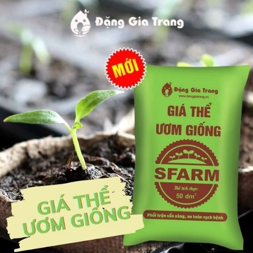 Giá thể ươm giống SFARM