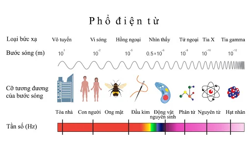 Tia X - Phổ điện từ