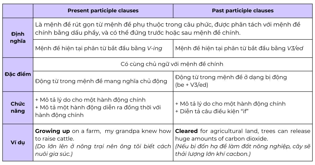 Past participle clauses