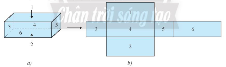 Lý thuyết Hình hộp chữ nhật. Hình lập phương (Lý thuyết + Bài tập toán lớp 7) - Chân trời sáng tạo (ảnh 1)