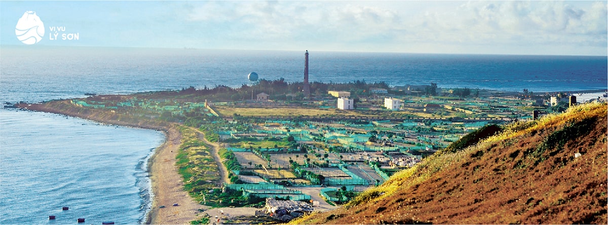 Tour đi Lý Sơn