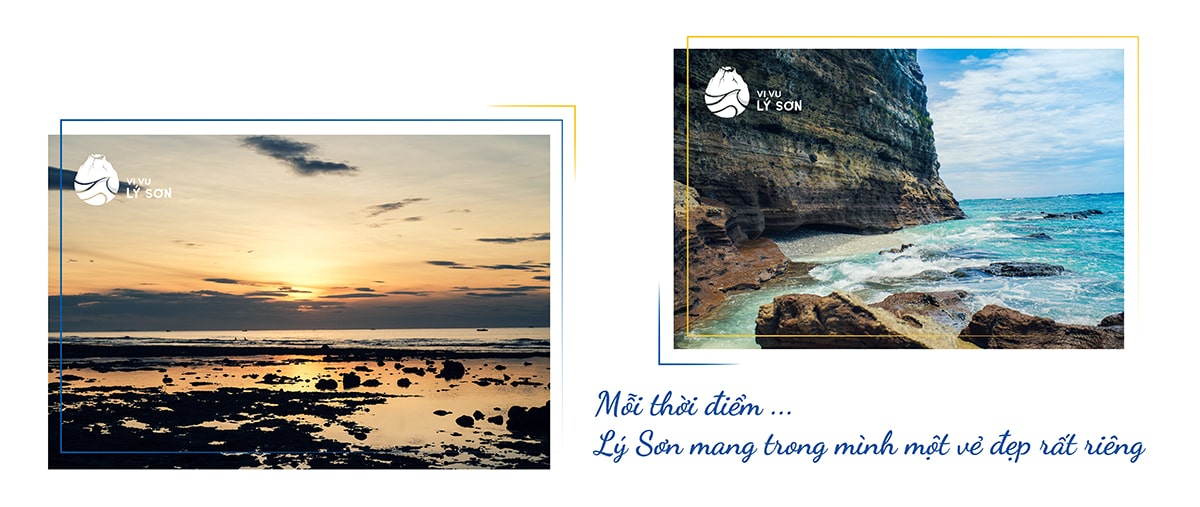 Tour đảo Lý Sơn