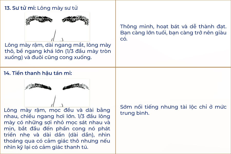 tướng lông mày cọp