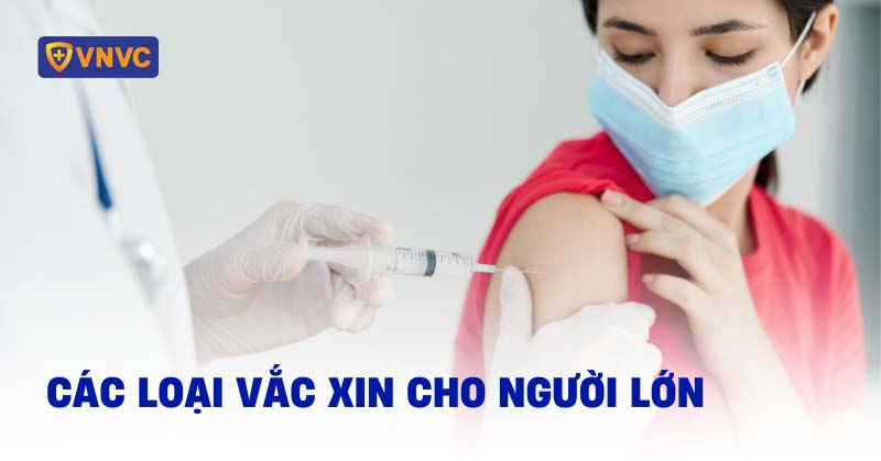 các loại vắc xin cho người lớn