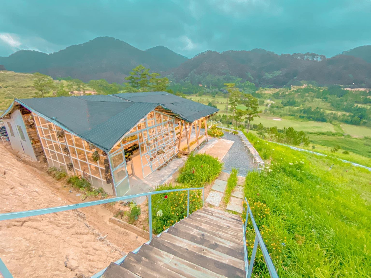 The Wilder - Nest Homestay giữa rừng thông sương mù