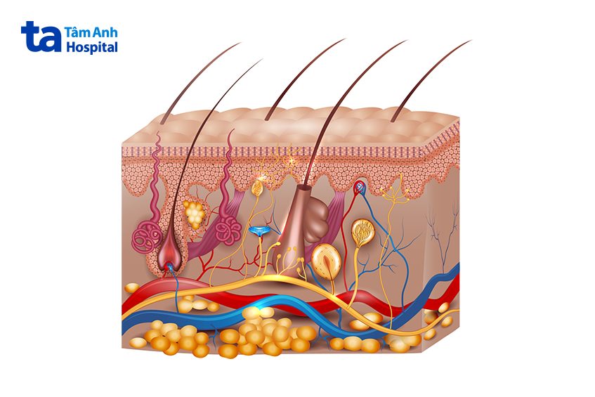 nguyên nhân bị viêm nang lông