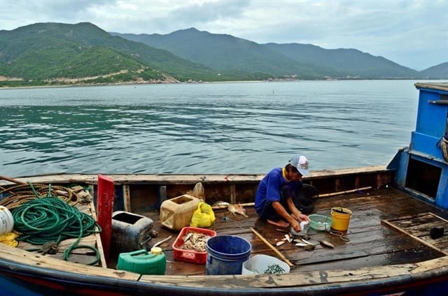 "Tất tần tật" kinh nghiệm du lịch Bình Tiên chi tiết nhất