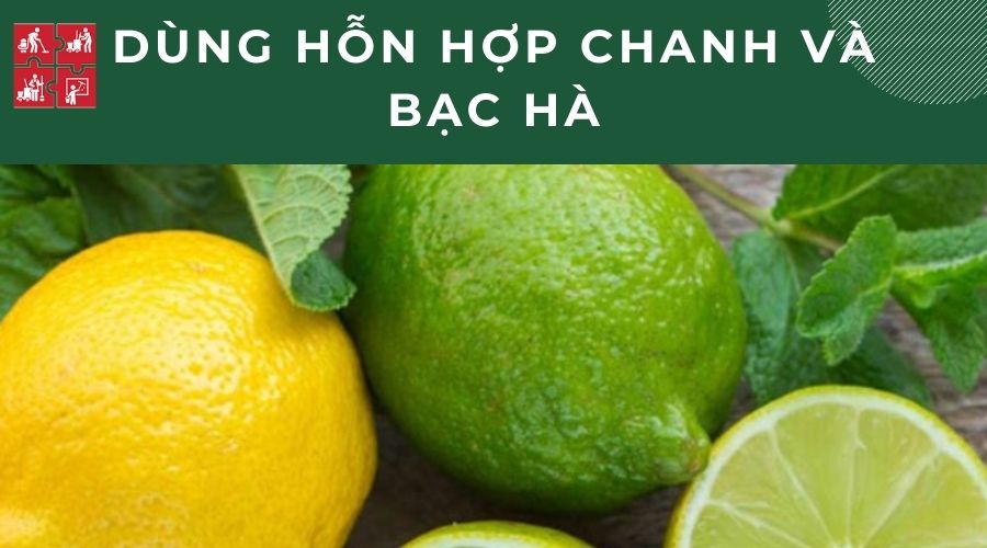 Diệt bồ hóng bằng chanh và bạc hà