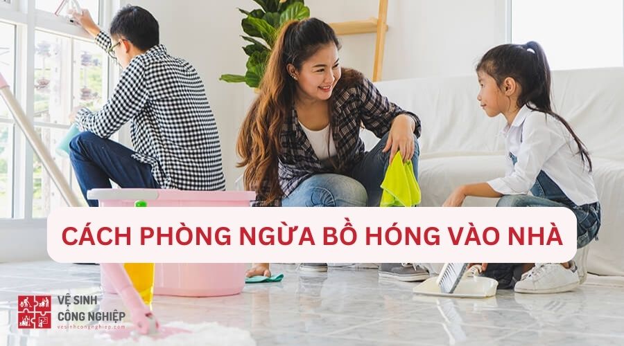 Cách phòng ngừa và ngăn chặn bồ hóng vào nhà