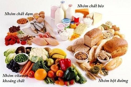 4 nhóm chất chính sẽ giải đáp thắc mắc bữa ăn như thế nào là đủ chất