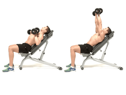 Bài tập Incline dumbbell chest press tác động lên cơ ngực trên