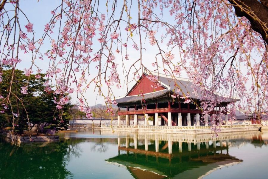 Đình Gyeonghoeru là một trong những khu vực đẹp nhất cung Gyeongbokgung