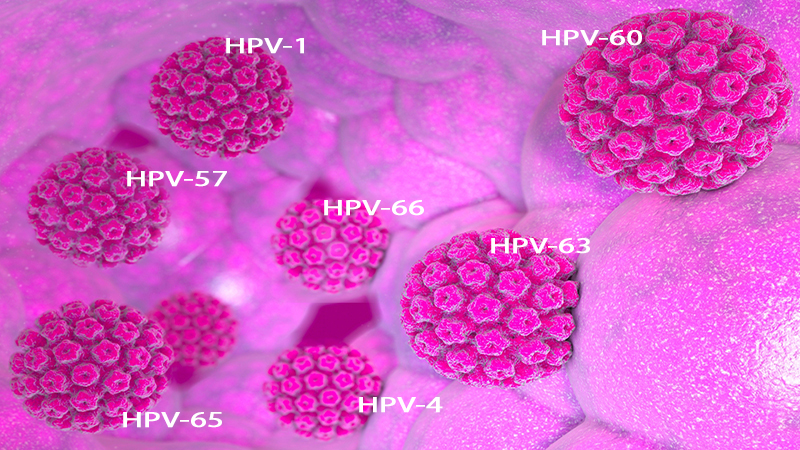 Một số chủng HPV gây mụn cóc ở chân