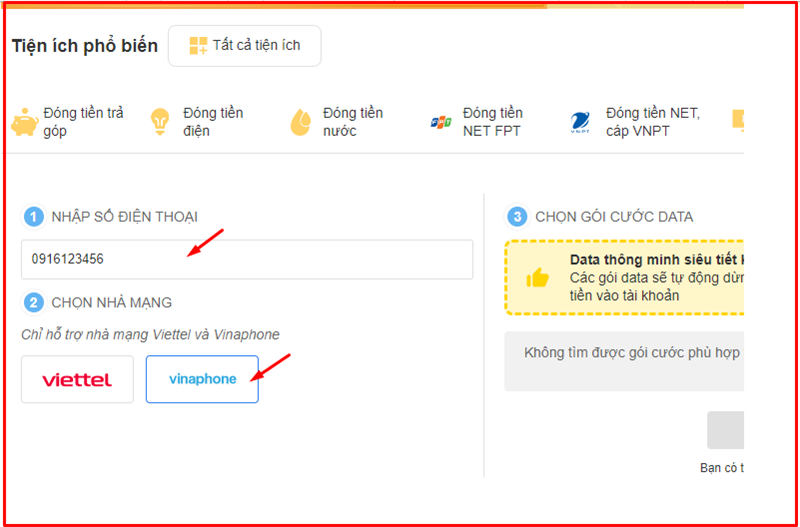 Nhập số điện thoại và chọn nhà mạng Vinaphone