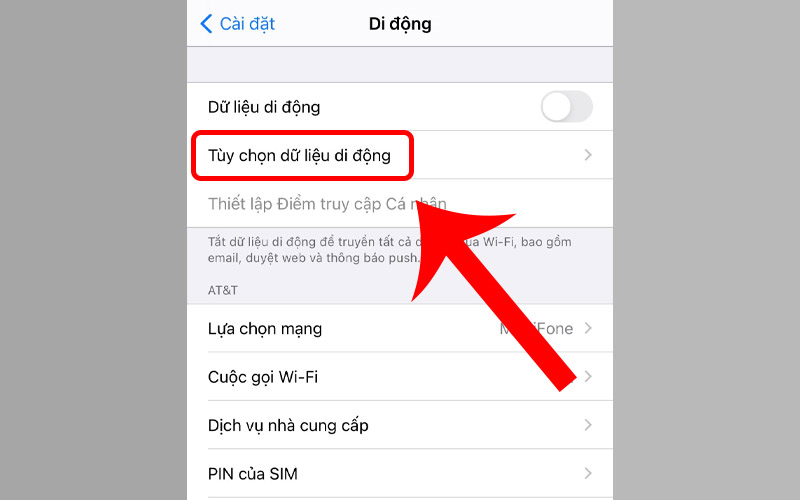 Tùy chọn dữ liệu di động