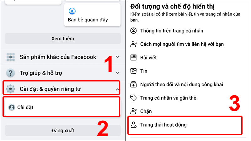 Vào trạng thái hoạt động trong phần Cài đặt Facebook